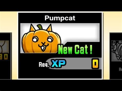 Battle cats pumpcat - Date Masamune is an Uber Rare Cat that can be unlocked by using the Rare Cat Capsule during the Sengoku Wargods Vajiras event. True Form increases his range, damage and health. Evolves into Wargod Masamune at level 10. Evolves into Immortal Masamune at level 30 using Catfruit and XP. + 40% chance to knockback Black and Red enemies Fast …